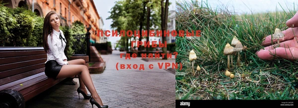 мдпв Магадан